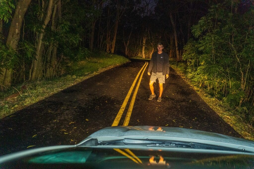 In Hawaii Volcanoes National Park, you can drive the Mauna Loa Road Scenic Drive. 