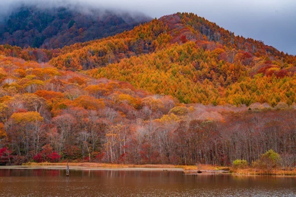 In Nagano, Japan, I solo traveled to Togakushi to see amazing Fall colors. 