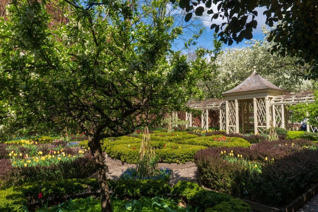 Flowers bloom in the 18th-Century Garden in Philly's Old City.