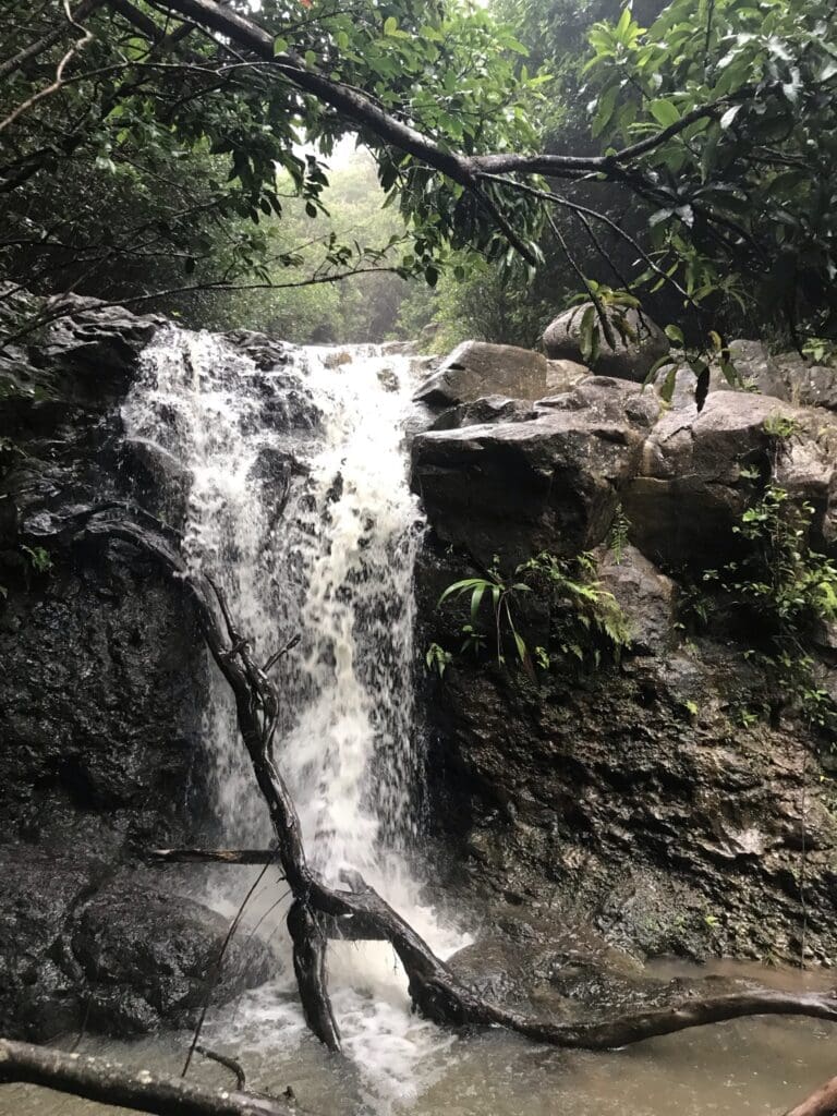 Laie Falls rushes with a lot of water during a rain storm.