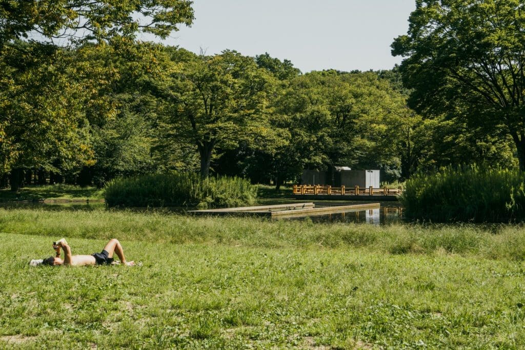 Sunbathers enjoy Yoyogi park. 