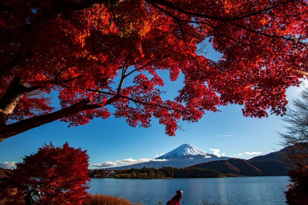 Mt. Fuji during Autumn