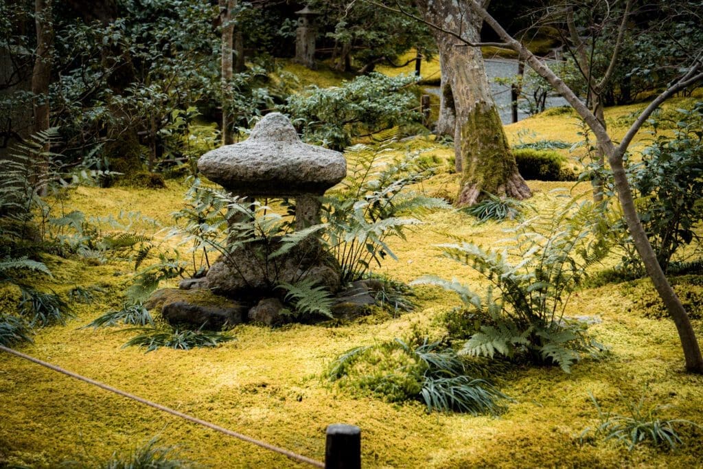 Moss covering a shrine during my Kyoto solo trip