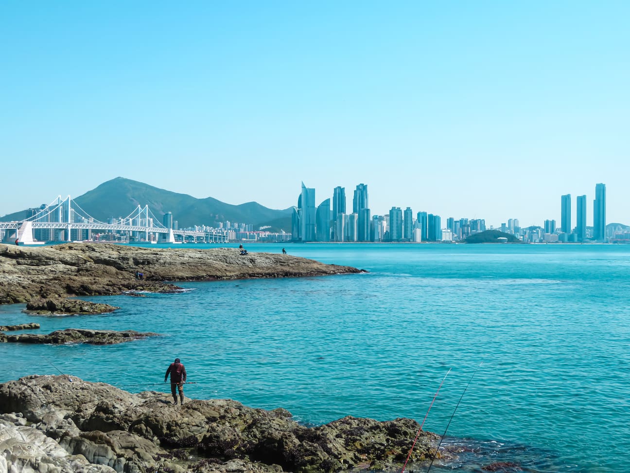 8 Things to Do Alone in Busan | Busan Solo Travel