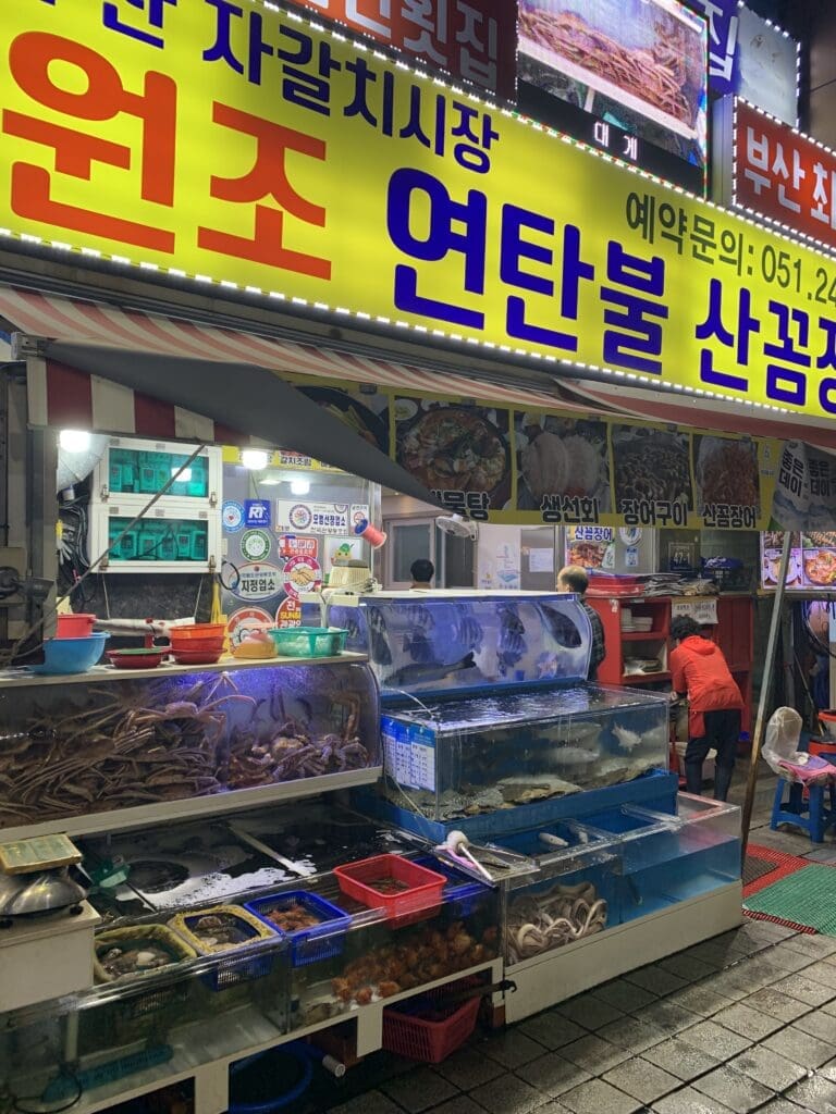 live fish at the Jagalchi Fish Market