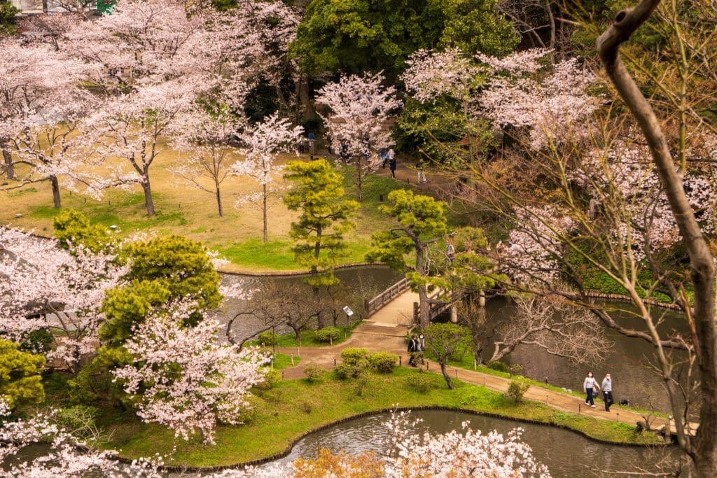 The view of people walking around the Sankeien Gardens