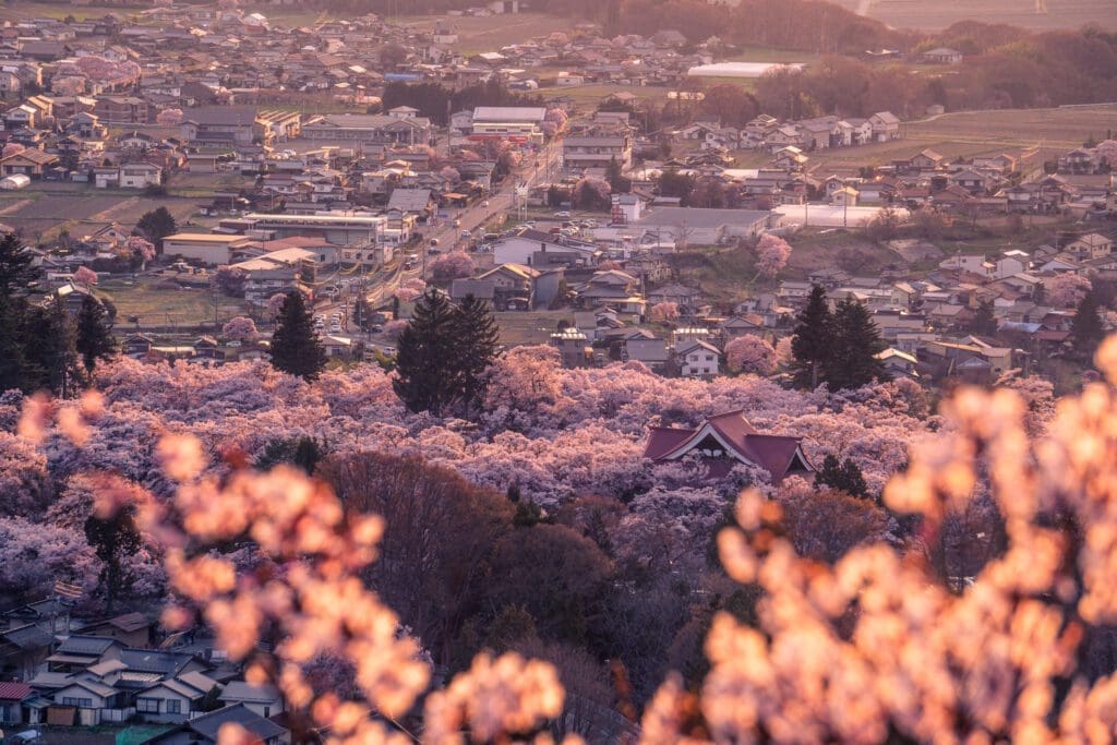 An aerial view of the Takato Castle Ruins.