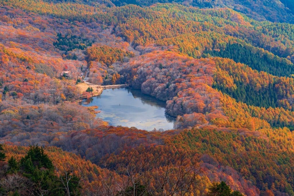 View of Togakushi from a mountain trail