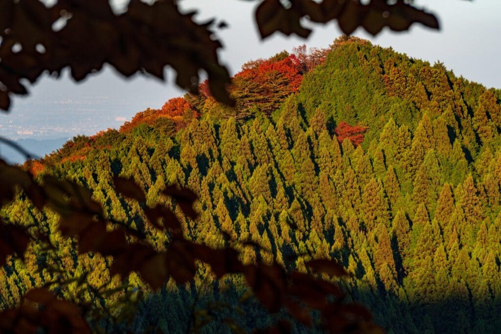 Chichibu-Tama-Kai National Park