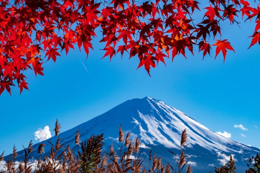 Mt. Fuji during Autumn