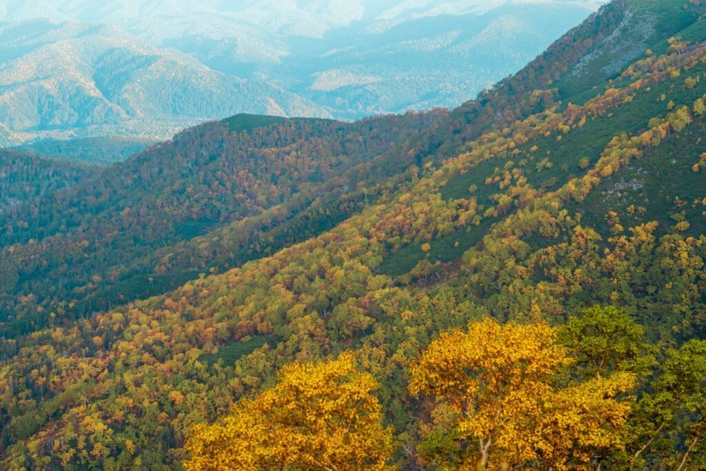 Daisetsuzan National Park, in the center of Hokkaido, is Japan's largest National park. It is also the first place in Japan to see fall colors. 